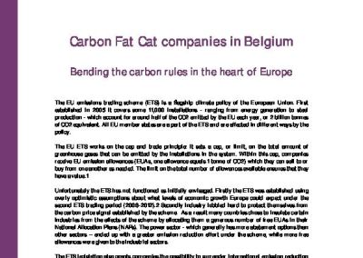 Belgian Carbon Fatcats
