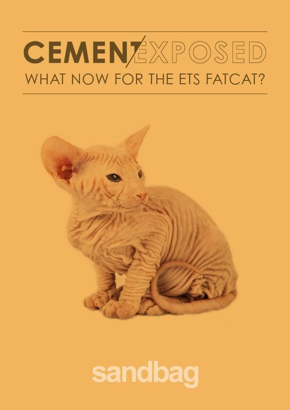 Cement Exposed: New data from EU cement sector shows no fall in CO2 emissions