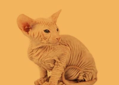 Cement Exposed: New data from EU cement sector shows no fall in CO2 emissions