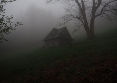 Something Nasty in the Woodshed