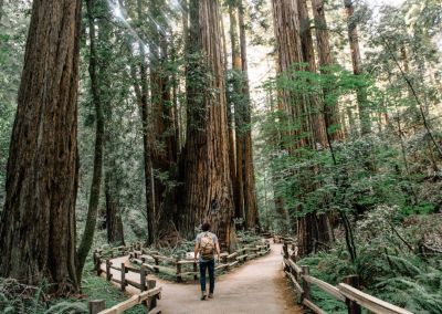 How to optimise the ETS funds?