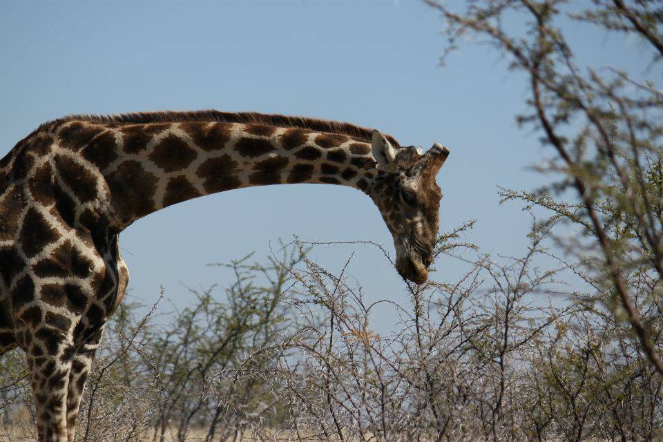 Bend it, don’t Break it: How can we win the political debate for a higher 2030 ESD target?