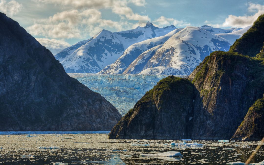 Calling on the Council to do the right thing for ETS Reform