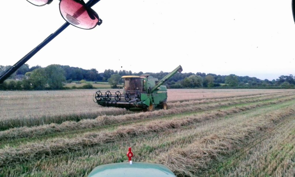 Agriculture is one of the main sectors in the ESR